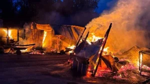 Наслідки пожежі в притулку для тварин «Сіріус» у селі Федорівка (фото ДСНС та притулку)